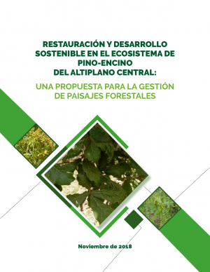 Cubierta del documento Restauración y desarrollo sostenible en el ecosistema de pino-encino del altiplano central: una propuesta para la gestión de paisajes forestales 