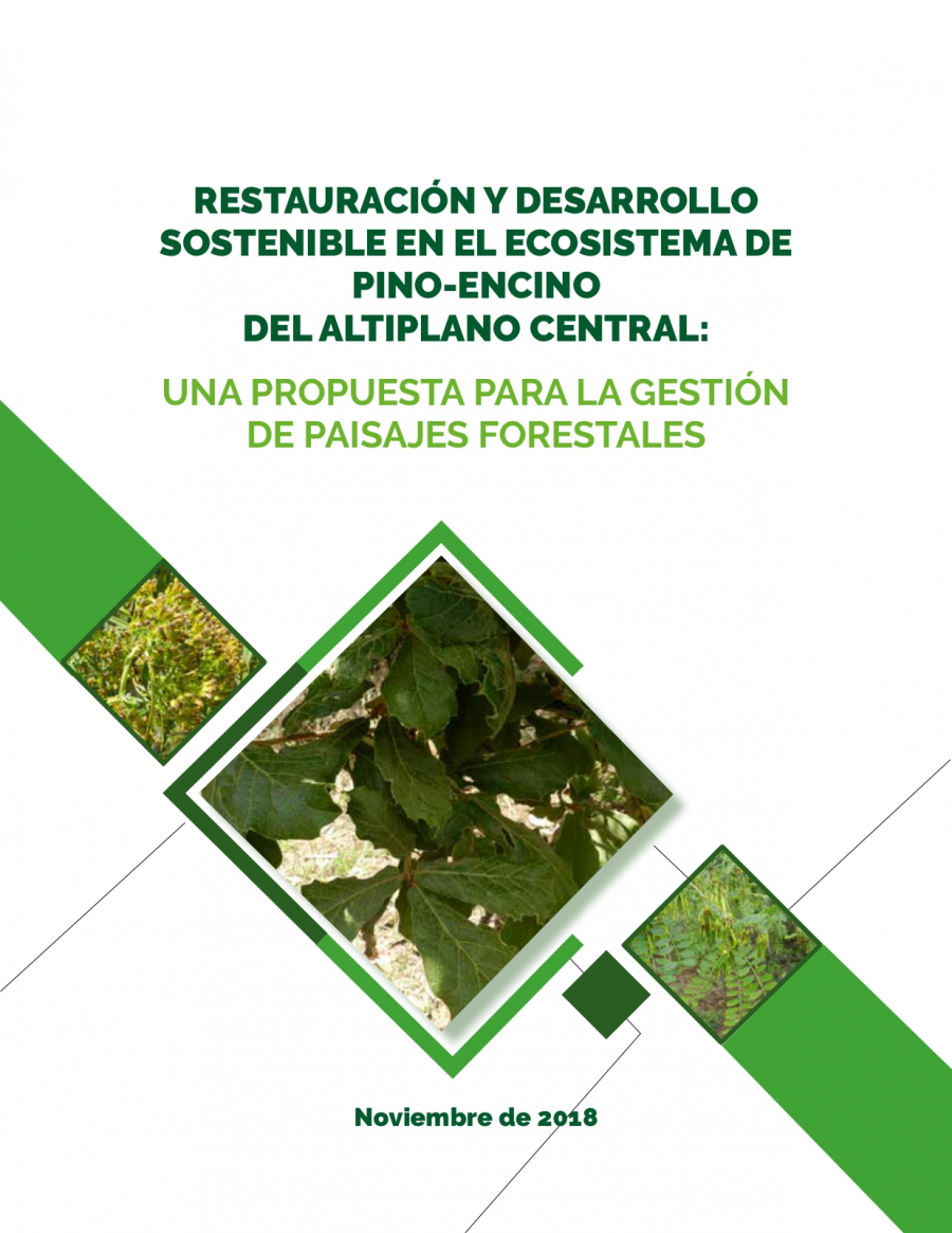 Cubierta del documento Restauración y desarrollo sostenible en el ecosistema de pino-encino del altiplano central: una propuesta para la gestión de paisajes forestales 