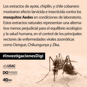 Extractos de plantas nativas de Guatemala para el control de mosquitos Aedes
